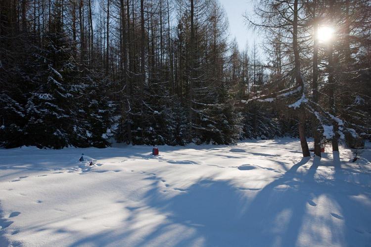 Bungalovy Pri Hoteli Spojar Žiar Exteriér fotografie